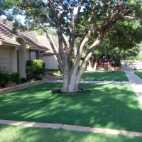 Artificial Grass Carpet Palm Springs, California Rooftop, Front Yard Landscape Ideas