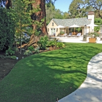 Artificial Grass Lakeview, California Lawn And Garden, Commercial Landscape