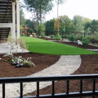 Artificial Lawn Sunnyslope, California Landscape Design, Backyard Makeover