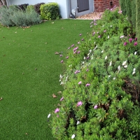 Artificial Turf Cost Banning, California Roof Top, Landscaping Ideas For Front Yard