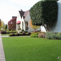 Artificial Turf Desert Edge, California Landscape Design, Front Yard Landscaping Ideas