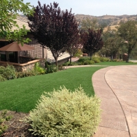 Artificial Turf Homeland, California Garden Ideas, Front Yard Landscaping