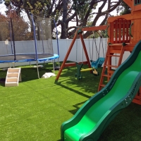 Best Artificial Grass Idyllwild, California Gardeners, Backyard Makeover