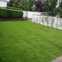 Fake Grass Carpet Idyllwild, California Landscape Ideas, Backyard Ideas