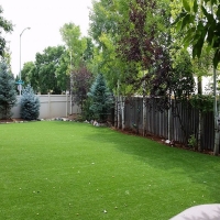 Fake Grass Carpet Moreno Valley, California Landscaping, Backyard Landscaping Ideas