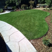 Fake Lawn Murrieta Hot Springs, California Rooftop, Front Yard Landscape Ideas