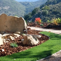 Fake Lawn Wildomar, California Landscaping Business, Front Yard Landscape Ideas