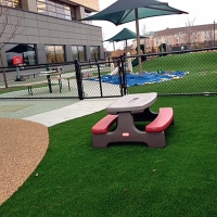 Faux Grass Anza, California Lacrosse Playground, Above Ground Swimming Pool