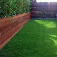 Faux Grass Hemet, California Backyard Playground, Backyard Landscape Ideas