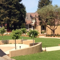 Grass Carpet Calimesa, California Landscape Photos, Small Front Yard Landscaping