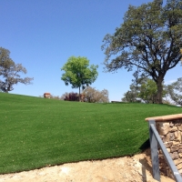 Grass Carpet Coachella, California Landscape Photos, Small Front Yard Landscaping