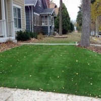 Grass Carpet El Cerrito, California City Landscape, Small Front Yard Landscaping