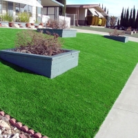 Green Lawn Pedley, California Landscape Ideas, Front Yard Landscape Ideas