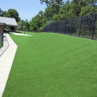 Outdoor Carpet Winchester, California Gardeners, Commercial Landscape