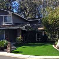 Plastic Grass Hemet, California Home And Garden, Front Yard Design