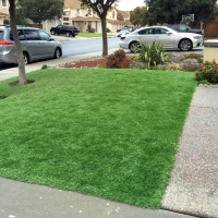 Synthetic Grass Garnet, California Design Ideas, Front Yard Landscaping