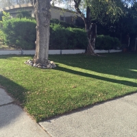 Synthetic Lawn Desert Edge, California Lawn And Landscape, Front Yard Landscape Ideas