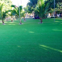 Synthetic Turf Ripley, California Rooftop, Front Yard Landscaping