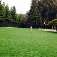 Synthetic Turf Supplier Lakeland Village, California Sports Athority, Recreational Areas