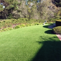 Synthetic Turf Supplier Ripley, California Landscape Photos, Front Yard Design