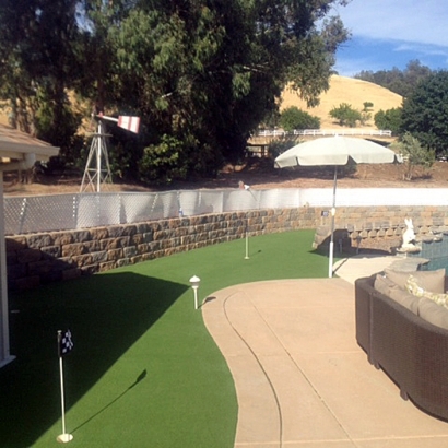 Artificial Grass Carpet Lake Elsinore, California Home And Garden, Backyard