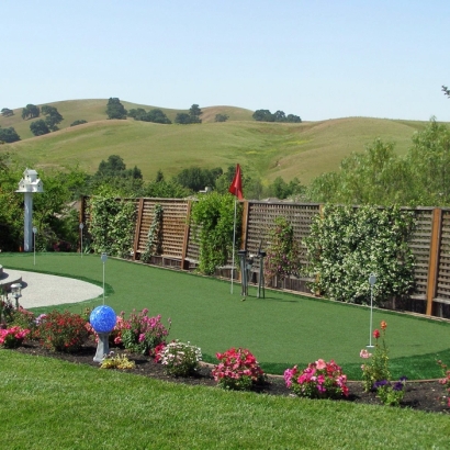 Artificial Grass Carpet Woodcrest, California City Landscape, Backyard