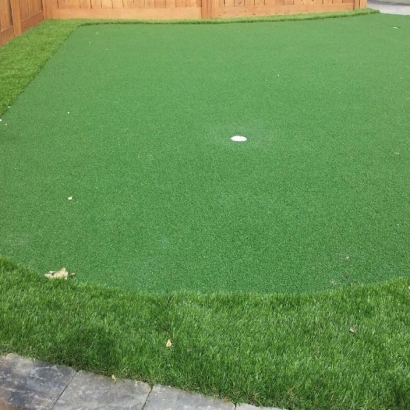 Artificial Grass Mead Valley, California Putting Greens