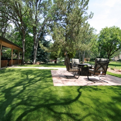 Artificial Lawn East Blythe, California Landscaping, Backyard Garden Ideas