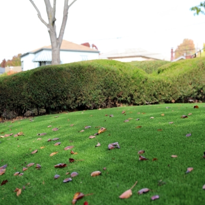 Artificial Turf Cost Sun City, California Lawn And Landscape, Front Yard Landscape Ideas