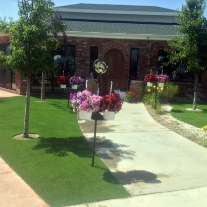 Fake Grass Carpet Lake Elsinore, California City Landscape, Commercial Landscape