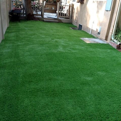 Fake Lawn Menifee, California Backyard Playground, Backyard Landscape Ideas