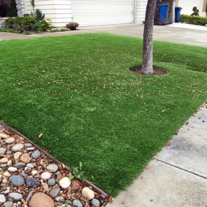 Fake Lawn Mountain Center, California Landscaping Business, Front Yard Landscape Ideas