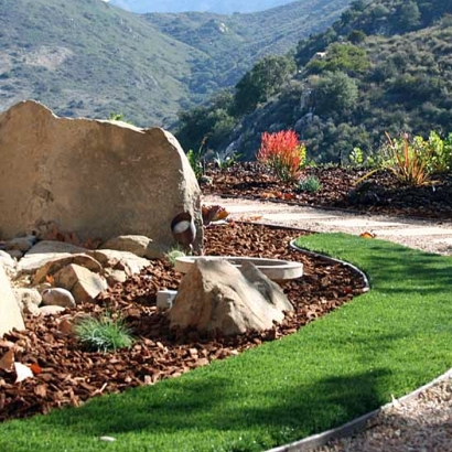 Fake Lawn Wildomar, California Landscaping Business, Front Yard Landscape Ideas