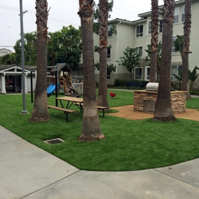 Fake Turf Alpine Village, California Lawn And Landscape, Commercial Landscape