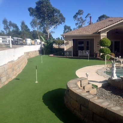 Fake Turf Glen Avon, California Home And Garden, Backyard Designs