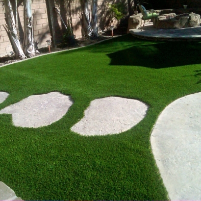 Faux Grass Sunnyslope, California Garden Ideas, Small Backyard Ideas