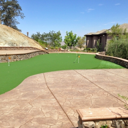 Grass Carpet Anza, California Office Putting Green, Backyard Landscaping Ideas