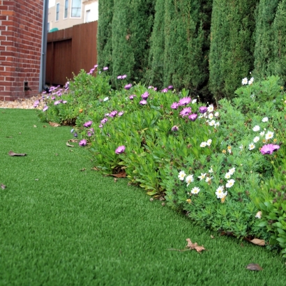 Grass Carpet Menifee, California Roof Top, Front Yard Ideas