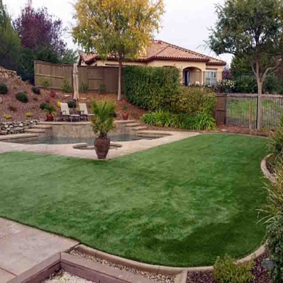 Grass Carpet Nuevo, California Landscape Ideas, Backyard Makeover