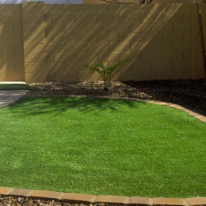 Green Lawn Good Hope, California Design Ideas, Backyard Landscaping Ideas