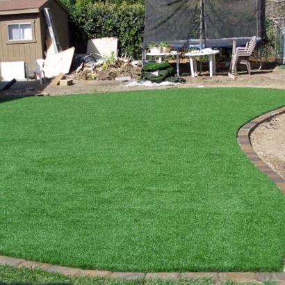 Green Lawn Palm Desert, California Lawns, Backyard Landscaping Ideas