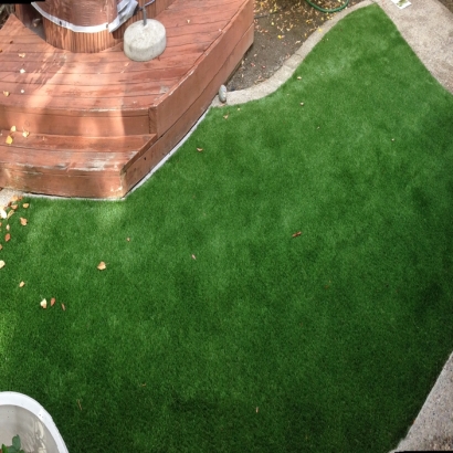 How To Install Artificial Grass Blythe, California Backyard Playground, Backyard Landscape Ideas