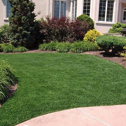 Plastic Grass Quail Valley, California Landscape Ideas, Front Yard