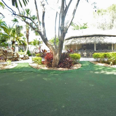 Plastic Grass Wildomar, California Best Indoor Putting Green, Commercial Landscape