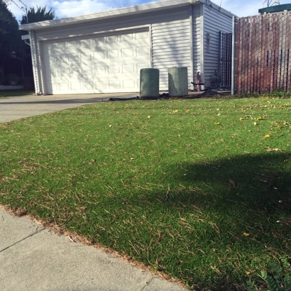 Synthetic Grass Cabazon, California Roof Top, Front Yard Ideas