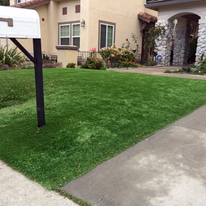 Synthetic Grass Cost Lake Elsinore, California Garden Ideas, Front Yard Landscaping