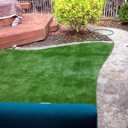 Synthetic Grass Cost Quail Valley, California Design Ideas, Small Backyard Ideas