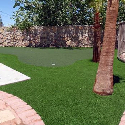 Synthetic Lawn March Air Force Base, California Home Putting Green, Backyard Designs