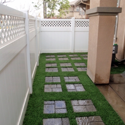 Synthetic Lawn Ripley, California Landscape Design, Backyards