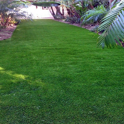 Synthetic Turf Supplier Cathedral City, California Landscape Ideas, Backyard Garden Ideas